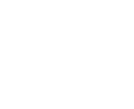 Logo Vassili